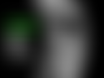 Snowscene retail flagship case study – IGU Global transformation project