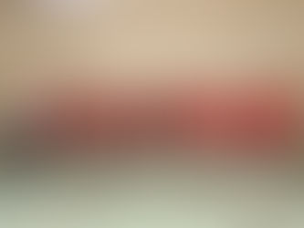 Geckos in Albstadt zu unkonstant