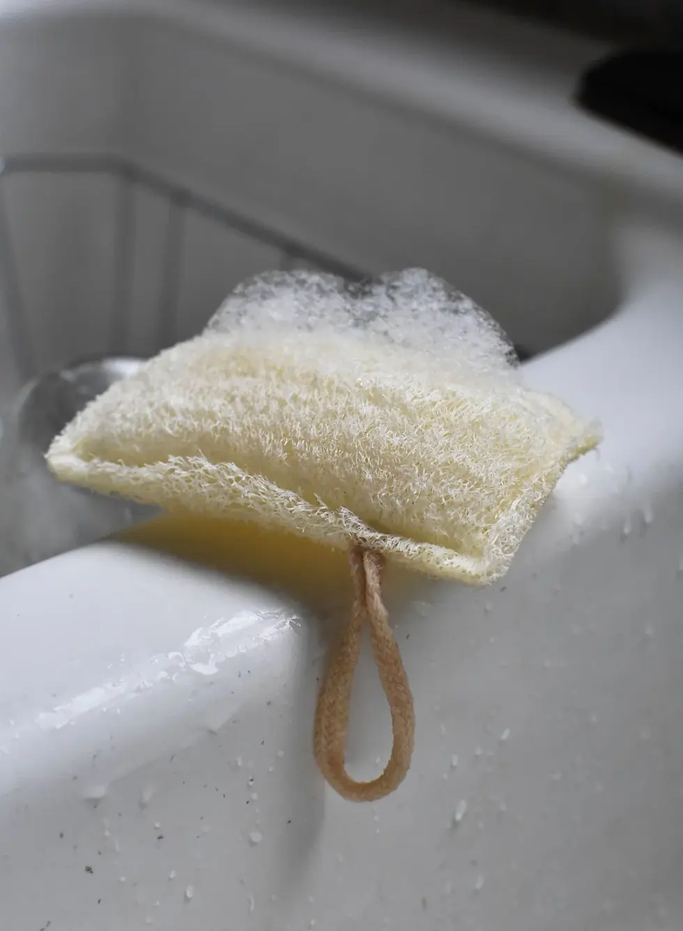 Miniatura: Loofah Kitchen Sponge - 3 Pack