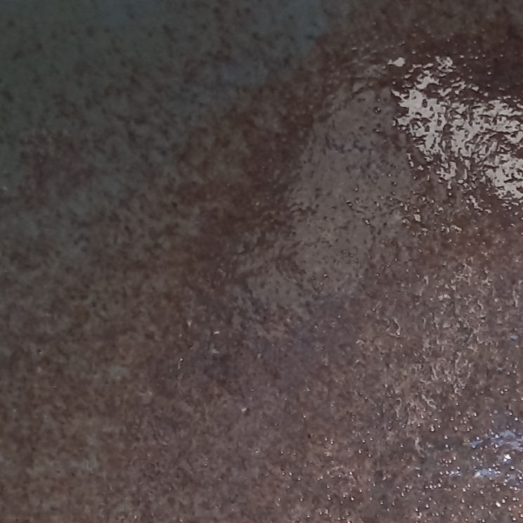 Miniatura: Bowl Orilla de Mar