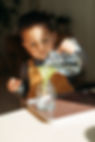 willowmontessori_oct2022-27.jpg