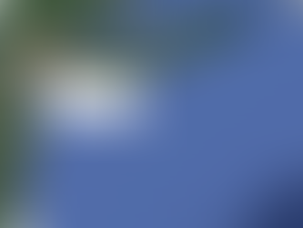 Juris Prudence For the Citizens of MFEADK Swahili State Province Iguana City Brooklyn New York, Rep.