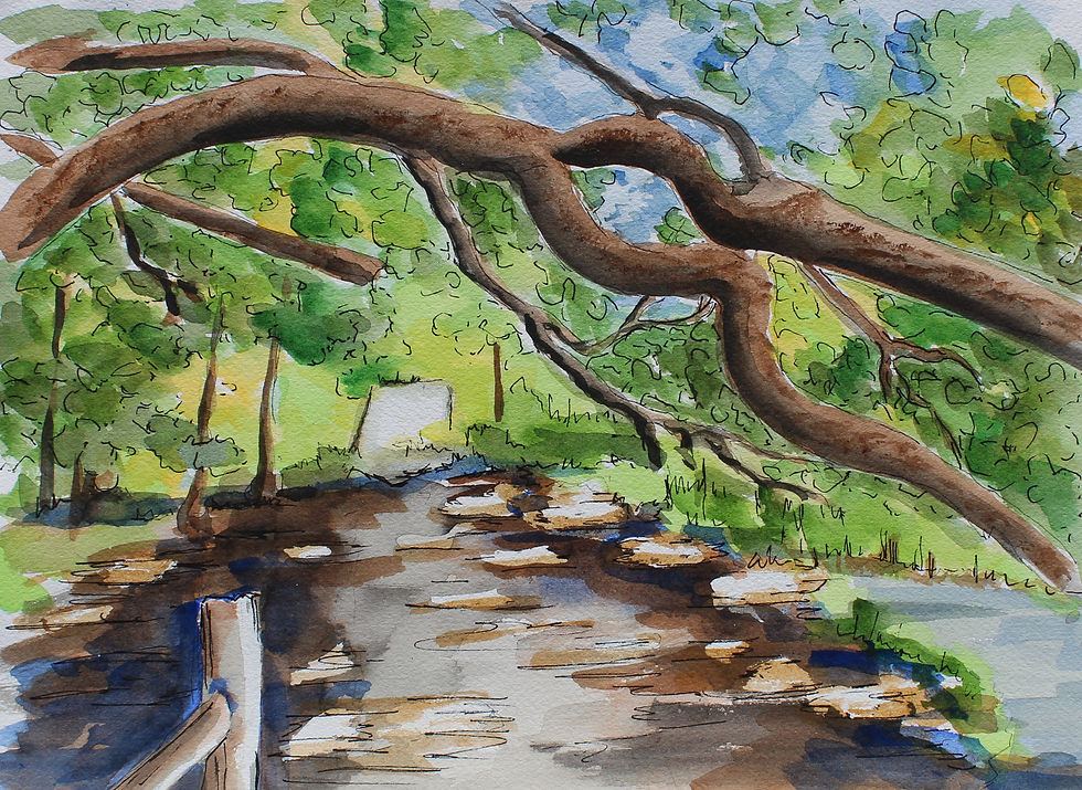 Walk in the Woods