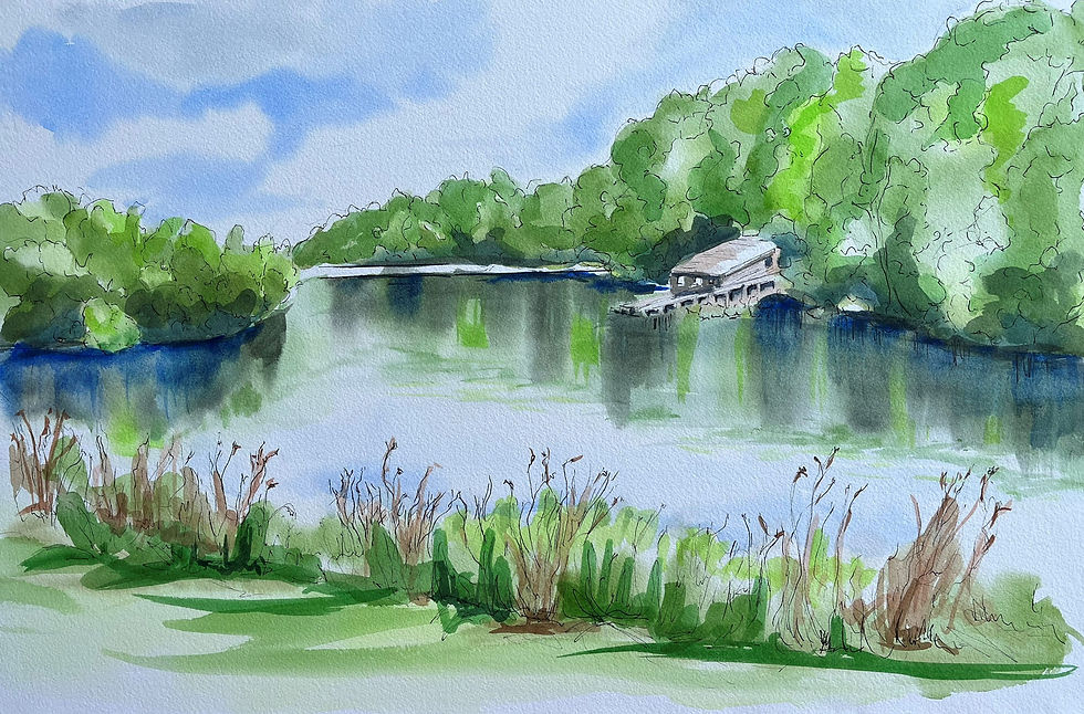 Lake Johnson