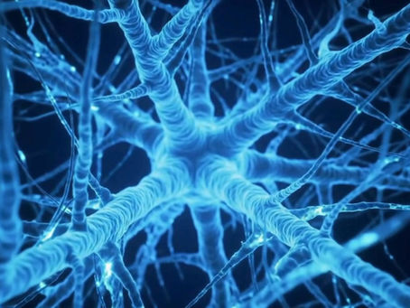 生物膜清除方案|從源頭瓦解頑固菌落