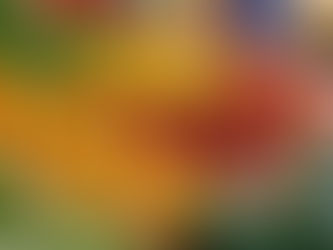 全方位蔬果衛生管理|EPA 認證技術杜絕交叉污染