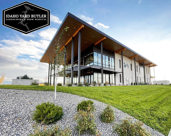 Untitled design (3).png