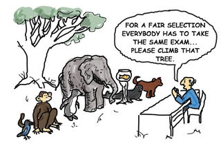 If You Teach A Fish To Climb A Tree The Case Of Fish Climbing The Tree...