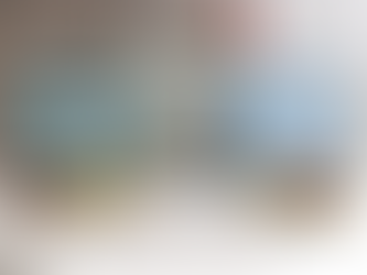 Eco-Friendly Sidekick: Lotus Sustainables Turns Grocery Runs into Eco-Warrior Missions