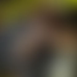 The 8 Best Jessi Collaborations (So Far)