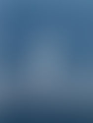 The Board Member’s Voyage: A Sailor’s Challenge