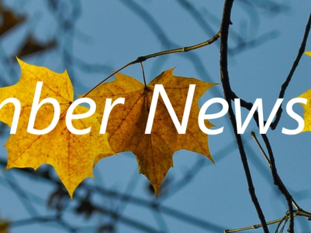 The Contemplative Society November Newsletter