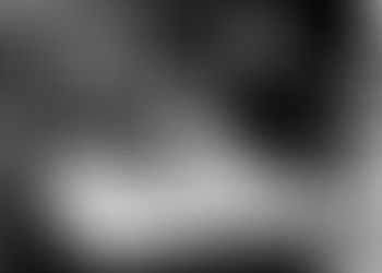 The Year of Teilhard continues: A Report