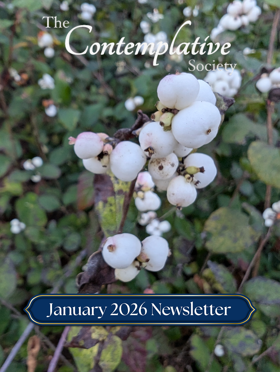 January 2026 Newsletter
