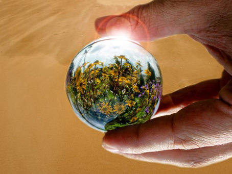 In Pursuit Of Wholeness: An Interview with Sojourners