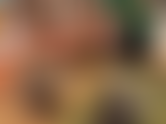 Calling All SoCal Teachers: Free Animal Education for Schools at Animal Tracks!