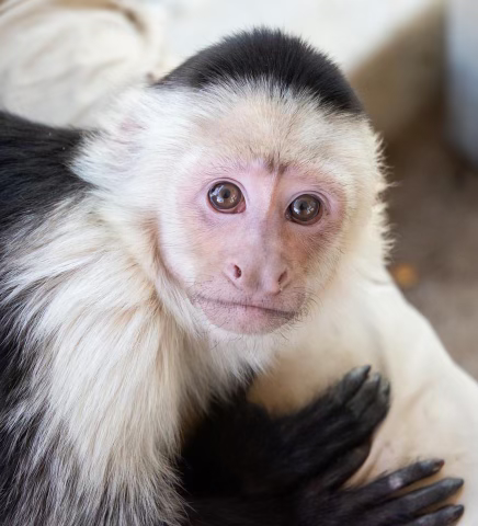 Why Meaningful Animal Experiences Matter More Than Ever