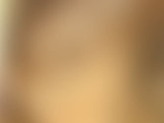 Finding Forever Homes for Three Adorable Bunnies!