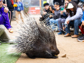 A Wildly Inspiring Day: Influencer Day at Animal Tracks