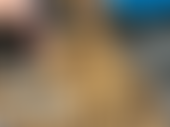 We Need Your Help: Monzo and Turbo’s Veterinary Journeys