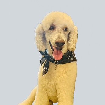 476157378_10225719521310440_112314060337