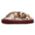 Thumbnail: Four Seasons Washable Jacquard Dog Bed for Large Dogs
