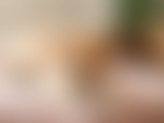 Essential Tips for Selecting the Ideal Dog Bed for Your Furry Friend