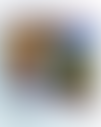 PAINT THE ESTATE - WITH KEN JARVELA