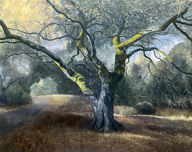 Wolpert May, 17, 2025.JPG