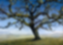 Wolpert-Looking West, (towards the Pacific), oil on linen, 5 x 7’.png