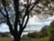 IMG_3625.jpeg