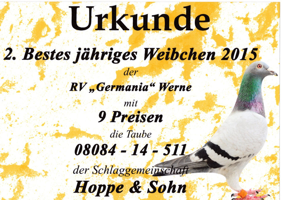 bestes_jähriges_Webchen