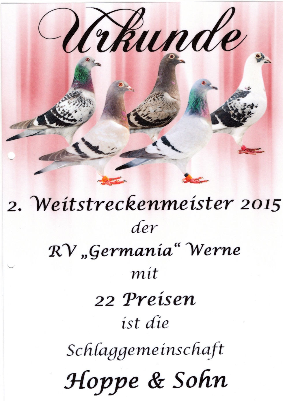 Weitstreckenmeister