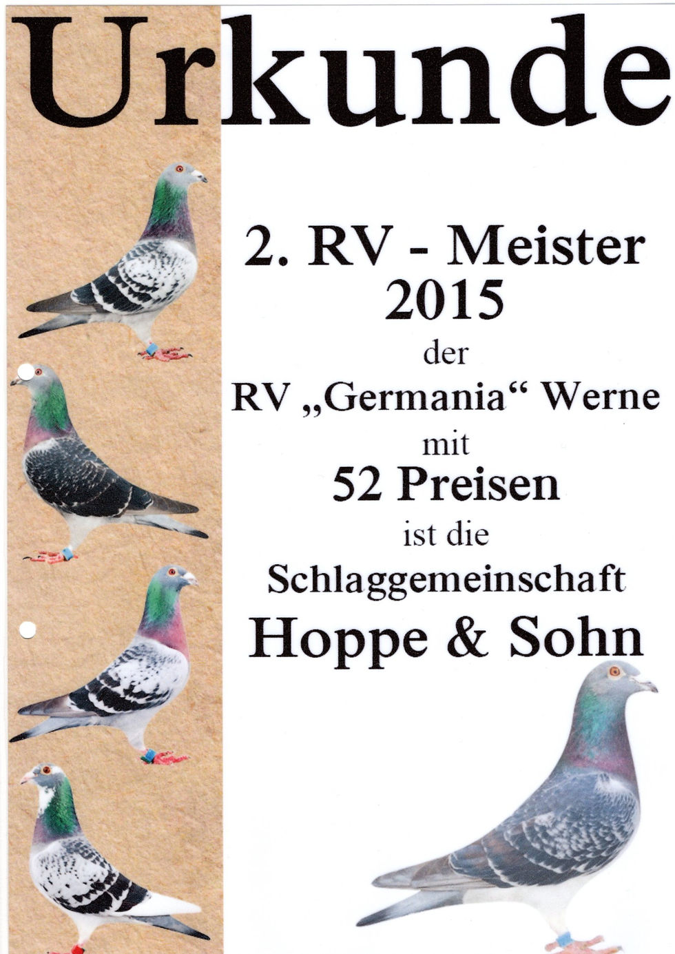 RV Meister
