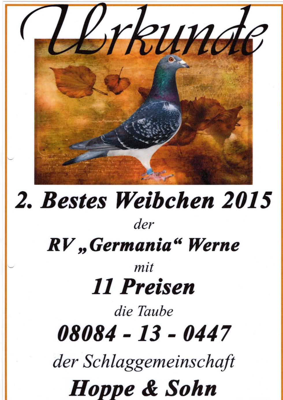 2. bestes Weibchen