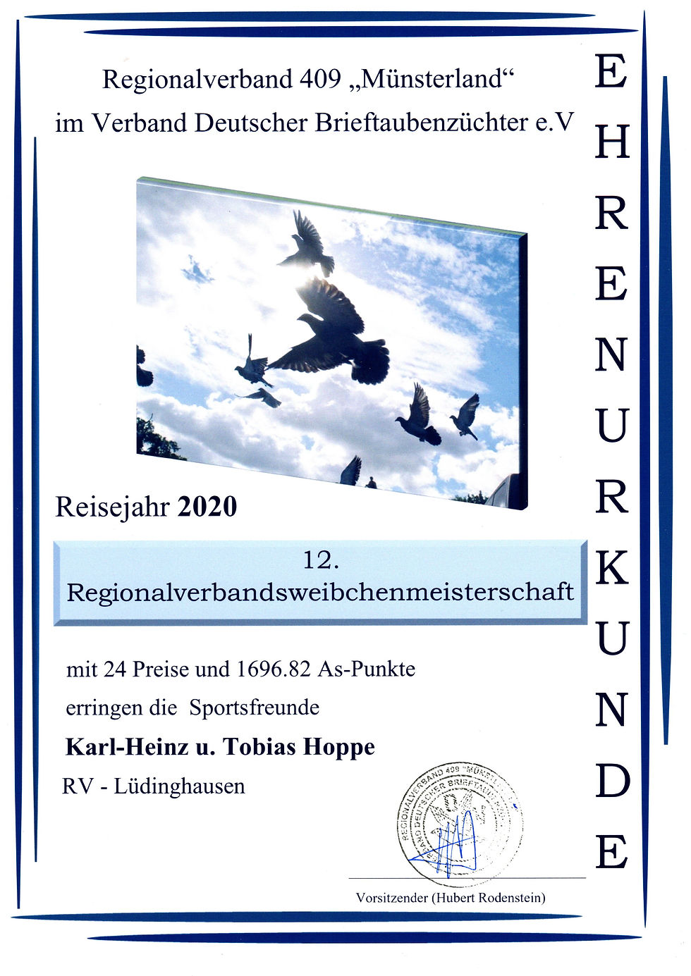 12. RegV Weibchenmeister