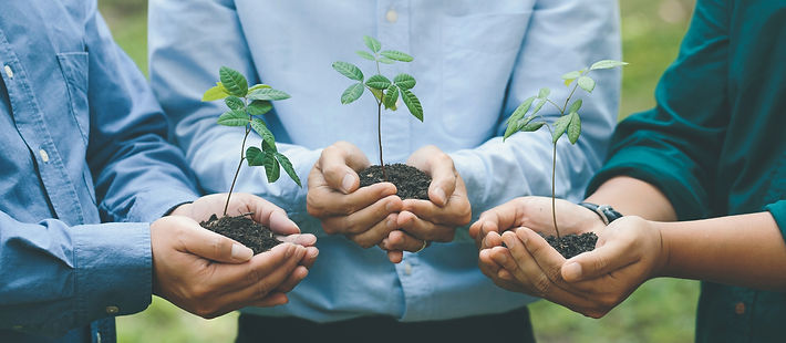 Juntos hacia la sustentabilidad