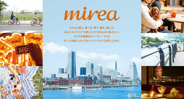mirea_top.png