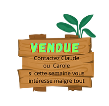 NEW LOGO Comité Social & Economique (4).png