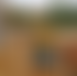 Steel Frame Advantages over Wood