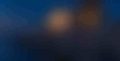 Photo credit Tonu Tunnel and Jorrit 't Hoen