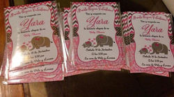 Baby Shower/ Bienvenida