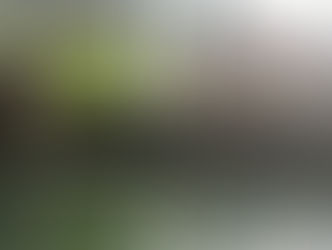 🌫️ 体を芯から温めます♨️