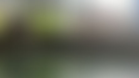 🌫️ 体を芯から温めます♨️