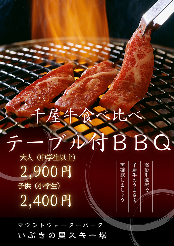 BBQ_v3.png