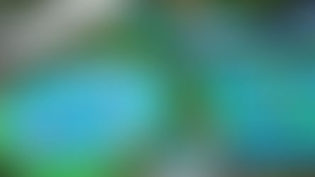 🌡️ 日差しは痛いくらい、でも気温は思ったほど高くないです