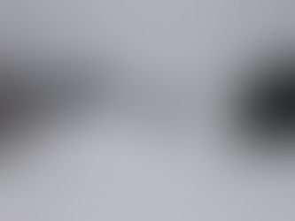 建国記念日も元気に営業中!