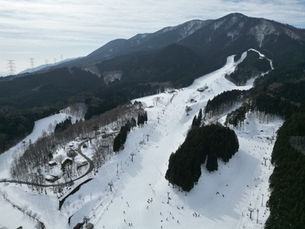 2月14日も元気に営業中!