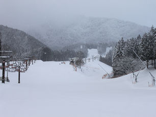 1月23日（金）も元気に営業中！