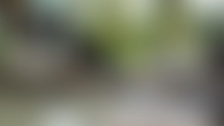 今日は自分の体を癒す時間を持たれてみませんか？